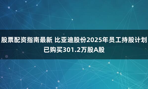 股票配资指南最新 比亚迪股份2025年员工持股计划已购买301.2万股A股