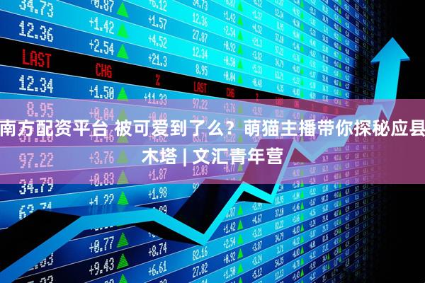 南方配资平台 被可爱到了么？萌猫主播带你探秘应县木塔 | 文汇青年营